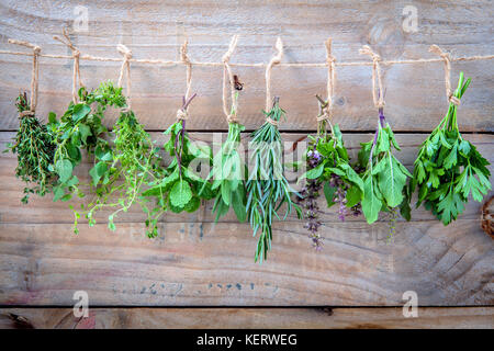 Assorted hanging herbs ,parsley ,oregano,mint,sage,rosemary,sweet basil,holy basil,  and thyme for seasoning concept on rustic old wooden background. Stock Photo