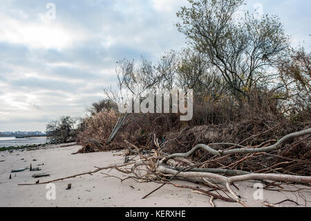 Brooklyn, NY -  18 November 2009- Plumb Beach, part of Gateway National Recreation Area, was hit hard by a nor'easter resulting in beach erosion. ©Stacy Walsh Rosenstock/Alamy Stock Photo