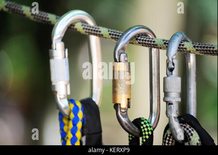 Climbing sports image of a carabiner on a rope in a forest Stock Photo