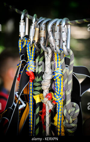 Climbing sports image of a carabiner on a rope in a forest Stock Photo