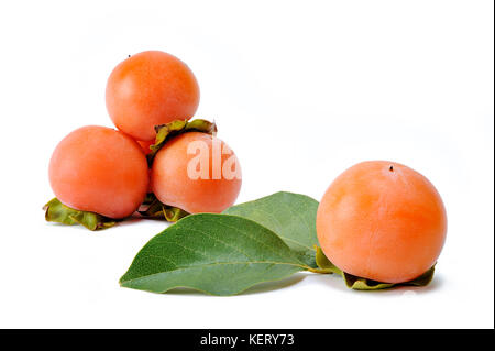 Close up of freshly harvested fresh persimmons isolated on white background