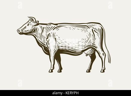 Cow standing, view profile. Farm animal, beef, milk. Sketch vector illustration Stock Vector