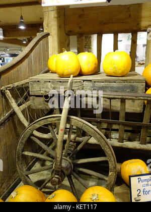 a cart full of pumpkins Stock Photo