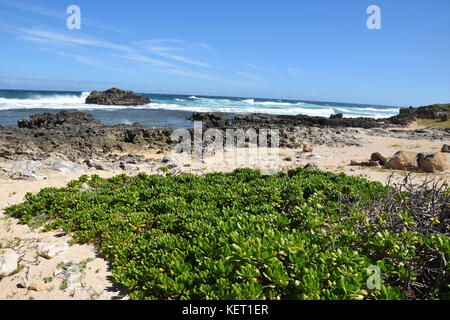The surf rolls in over the Kahuku Shoreline on Oahu, Hawaii's North Shore Stock Photo