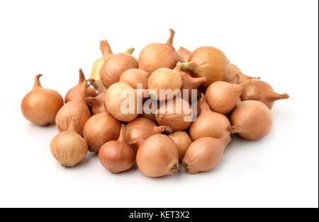 Pile of onion sets isolated on white Stock Photo