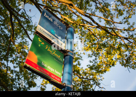 A bus stop in Ashurst in the New Forest, Hampshire, UK Stock Photo