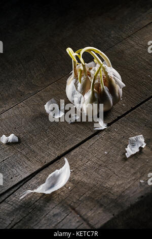 old sprouting garlic on wooden table Stock Photo