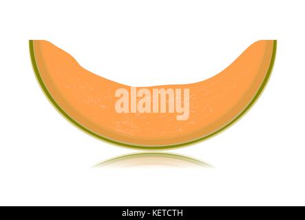 Sliced melon isolated on white background Stock Vector