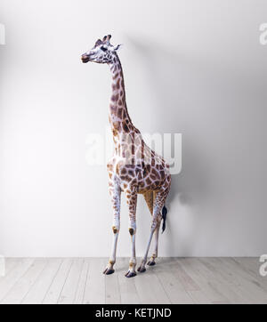 the giraffe in the white room . Media mixed concept Stock Photo