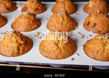 Carrot cupcakes are baked in a hot oven Stock Photo