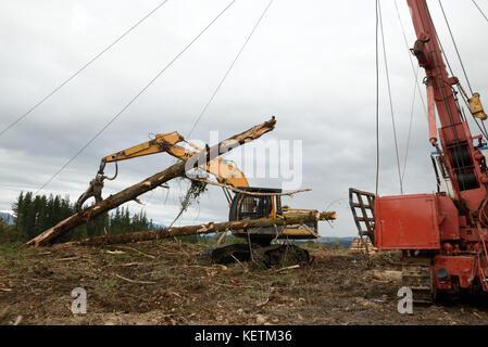 KUMARA, NEW ZEALAND, SEPTEMBER 20, 2017: A digger driver captures a log at the top of the hauler area at a logging site near Kumara, West Coast, New Z Stock Photo
