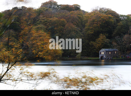 Talkin Tarn lake near Brampton in Cumbria. Stock Photo