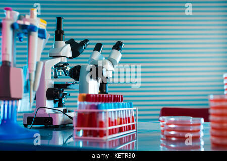 Identification of pathogenic microbes and viruses Stock Photo