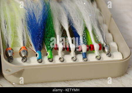 A fly box with closer minnow flies and streamers used for fly fishing in saltwater Stock Photo