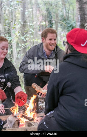 Preston, Lancashire, UK. 23rd Oct, 2017. Prince Harry chats to young people taking part in conservation and bush craft activities as he pays a visit 'Myplace' at Brockholes Nature Reserve. It aims to empower young people by encouraging them to take part in activities to improve areas for wildlife & their own wellbeing. Credit: Cernan Elias/Alamy Live News Stock Photo