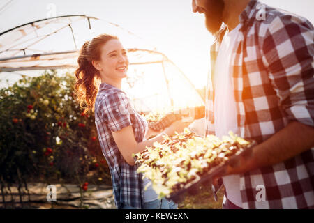 Image of couple of farmers seedling sprouts in garden Stock Photo