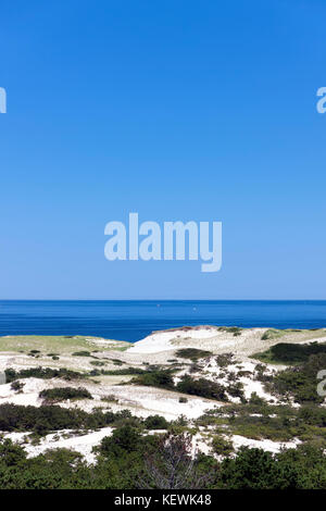 Province Lands at Cape Cod National Seashore. Sand dune vegetation in the foreground & the Atlantic Ocean in the background. Stock Photo