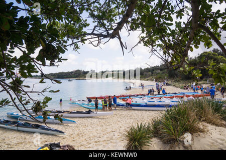 An Outrigger Canoe race in South Sydney Stock Photo