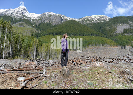 An environmentalist surveys a clear-cut logging block and deforestation slash near Port Alberni, on Vancouver Island, British Columbia, Canada. Stock Photo