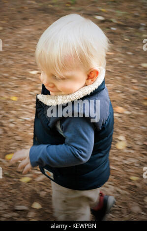 Little boy on a family walk in the woods Stock Photo
