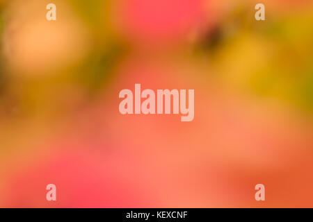Light effects background, abstract light background, light leaks, can be used in different blending modes to enhance photography images Stock Photo