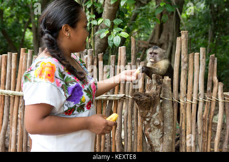 Young smiling woman wearing traditional dress feeding monkey near the town of Coba in Quintana Roo, Mexico Stock Photo