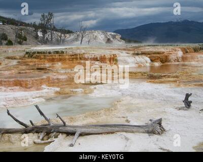 Mammoth Hot Springs, Yellowstone National Park, Wyoming Stock Photo