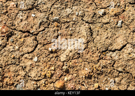 crack dry soil and rock on the ground at the summer season. El Nino and global warming are affected by climate change. Stock Photo