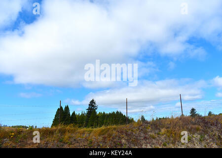 Barb wired fence on a hill with evergreen trees in the background under a cloudy blue sky. Drought, water shortage, fire hazard concepts. Stock Photo