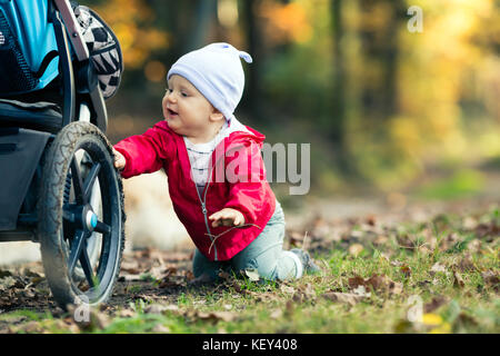 Baby boy playing in autumn forest with stroller, outdoors fun. Happy child on hiking trip in woods. Stock Photo