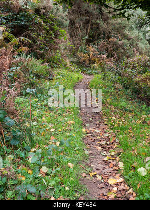 Woodland walk, Hothfield Common nature reserve, Ashford, Kent Stock Photo