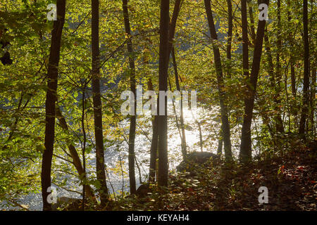 The Youghiogheny River in the early morning near Ohiopyle, Pennsylvania, USA Stock Photo