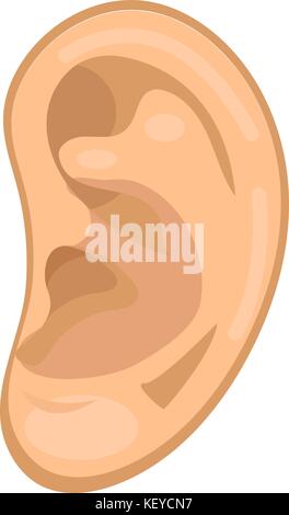 Ear icon flat style. Anatomy, medicine concept. Hearing sound. Isolated on white background. Vector illustration. Stock Vector