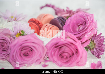 Colourful macarons and pink rose and camomiles in a gift box Stock Photo