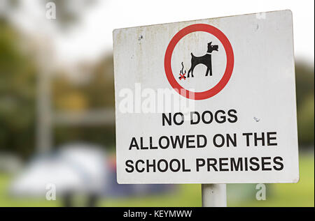 No dogs allowed on school premises sign, England, UK Stock Photo