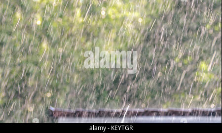 downpour scenery with roof and vegetation Stock Photo