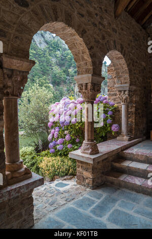 Hydrangeas bush and arch in the Romanesque Abbey of Saint Martin du Canigou in the French Pyrenees Stock Photo