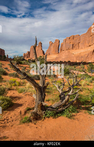 Stone wall of the  window section, Arches  National Park, Utah, USA Stock Photo