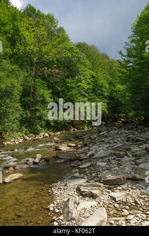 River Wetlina in Bieszczady National Park. Poland. Stock Photo