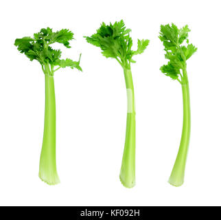 Celery on White Background Stock Photo