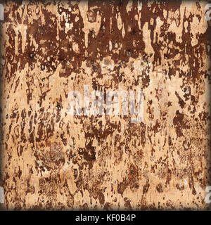 Underside of a birch bark Stock Photo