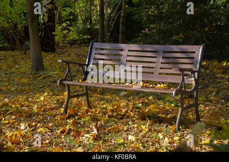 Old wooden bench in park over golden autumn leaves. Sunny weather. Stock Photo
