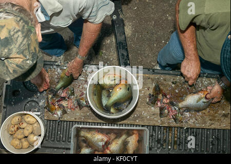 High angle view of two men scraping fish with knife Stock Photo