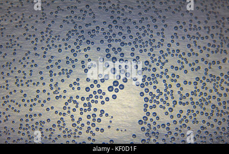 Harmonic backgrounds (screensaver). Air bubbles in water (bleb) on light, smooth surface. Interior design, design creativity, Stock Photo