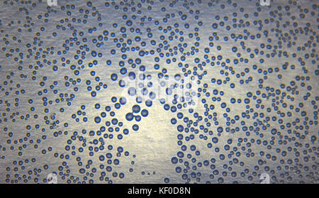 Harmonic backgrounds (screensaver). Air bubbles in water (bleb) on light, smooth surface. Interior design, design creativity, Stock Photo