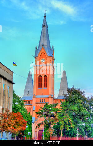 The St. Martin of Tours Cathedral in Mukacheve, Transcarpatia, Ukraine Stock Photo