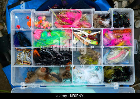 Full tackle box of fly fishing flies in Washington river stock photo