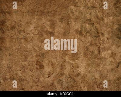 Unique tan textured cork background panel Stock Photo