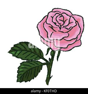 Hand drawn sketch of Rose isolated, Black and White Cartoon Vector Illustration for Coloring Book - Line Drawn Vector Stock Vector