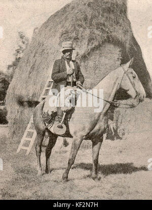 Rio Grande do Sul saddle gaucho crioulo horse fleece brown brownish lasso  rs rio grande do sul travel brazil animal mammal Stock Photo - Alamy